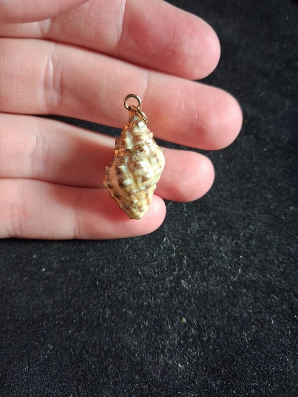 Shell pendant - Picture 2 of 2